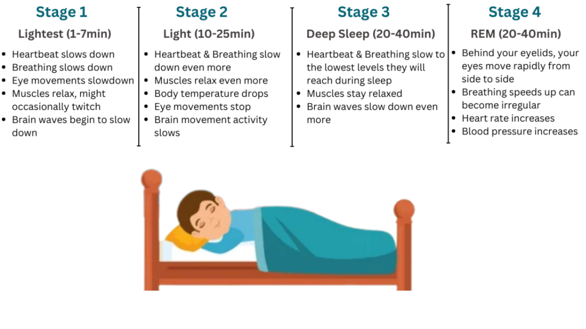 REM Sleep Behavior Disorder: Symptoms & Causes 2026