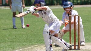 Green field and pitch setup showing how is cricket played