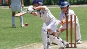 Green field and pitch setup showing how is cricket played