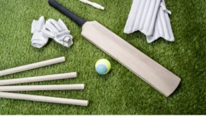 Packed stadium lights during a night match for cricket formats explained.