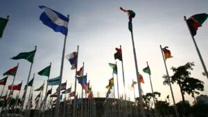 Humanitarian aid coordination structure within a **division of global affairs**