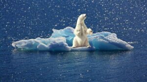 Polar Vortex 2026 bringing Arctic cold air and winter weather to North America